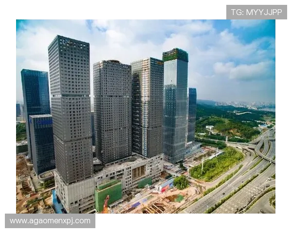 澳门新京平台开户操作指南，详细步骤教你轻松完成注册与登录