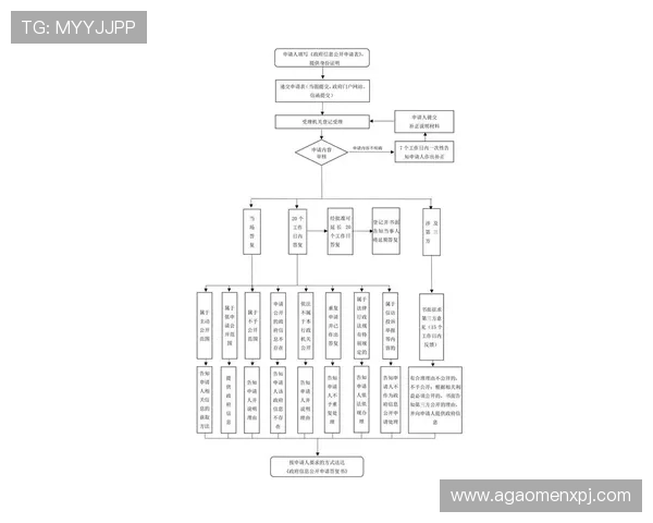 新普京电脑版官网网址官方入口地址及登录流程详细解析