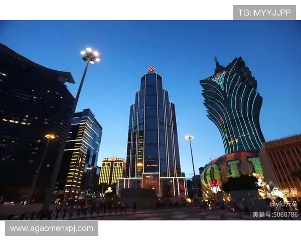 澳门新京网娱乐app用户评价与反馈汇总,了解真实使用体验与改进建议