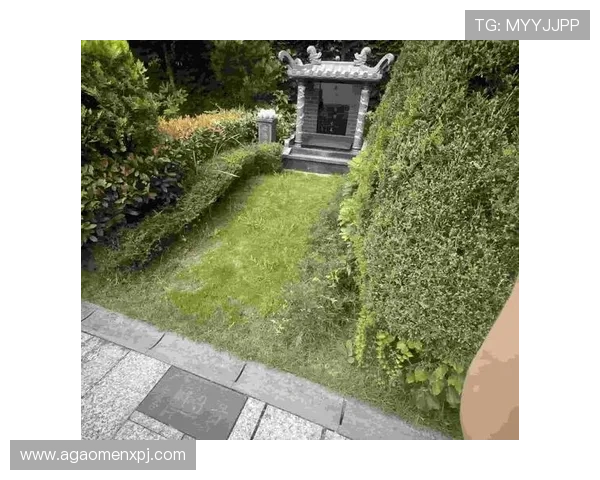 葡京AG电玩客户端下载流程详解轻松一键下载安装无忧体验