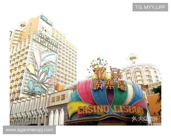 葡京娱乐场平台网页版操作指南，详细介绍注册登录、游戏玩法及安全保障措施