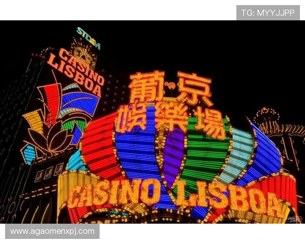 新澳门葡京娱乐多样化游戏选择满足不同玩家的娱乐需求与偏好 新澳门葡京娱乐多样化游戏选择满足不同玩家的娱乐需求与偏好