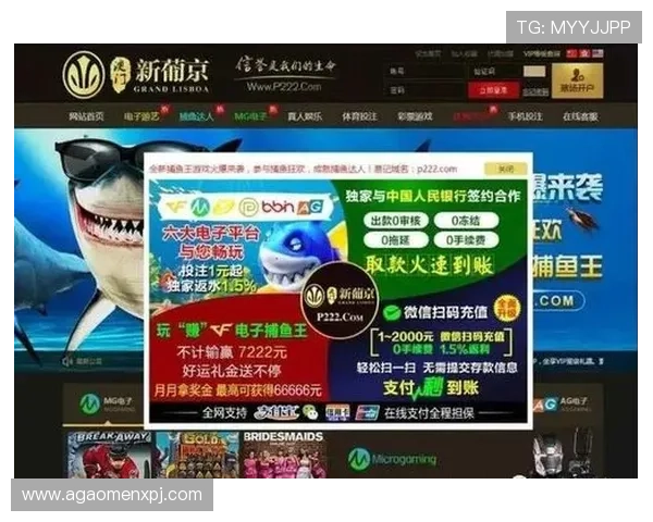 新葡京娱乐登录注册流程详解，帮助新手玩家快速完成账号注册与登录，开启精彩游戏之旅