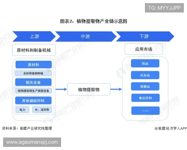 澳门十大娱乐场所法人代表的详细介绍与行业影响分析